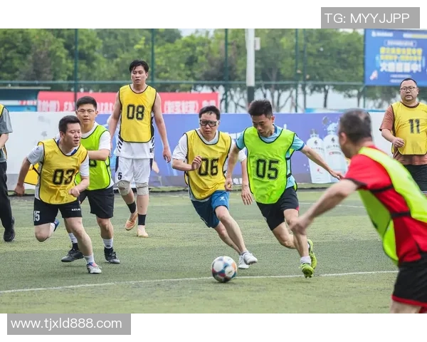 在绿茵场上追梦足球小说苏的青春与热血故事